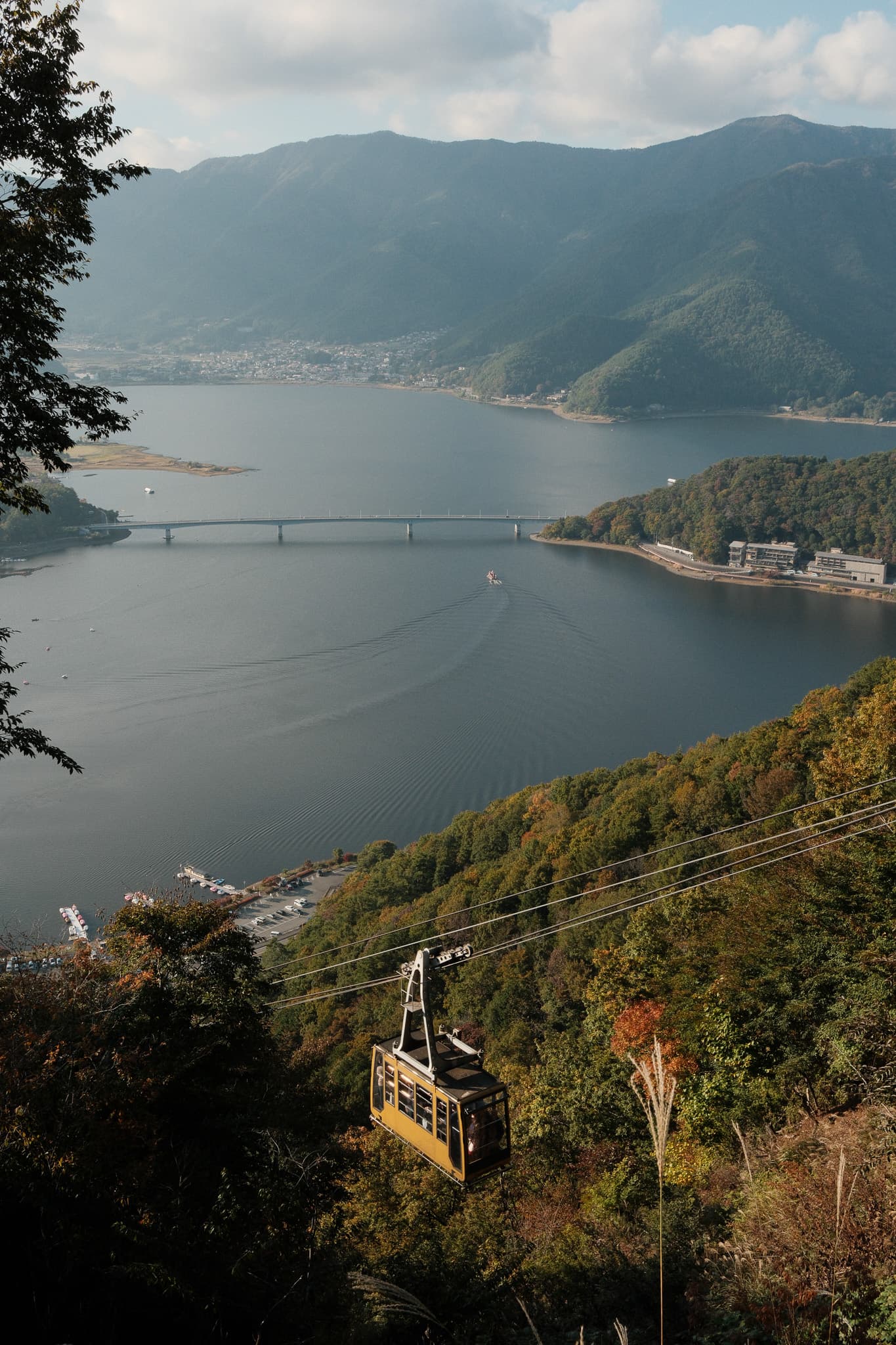 A lake and forested mountains seen from above