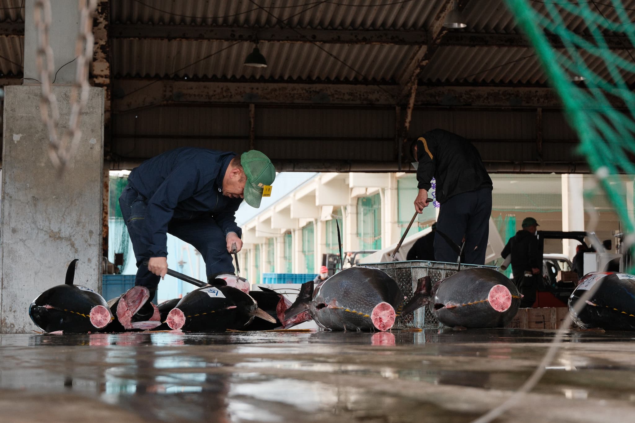 Workers handling fish beneath a covered market structure