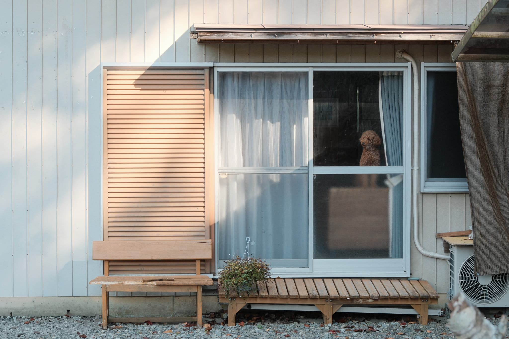 A sunlit building facade with a person visible through the window